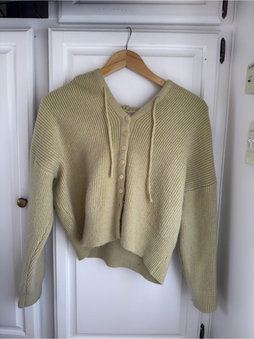 Cozy Button-Front Hooded Sweater - Matcha Latte Green